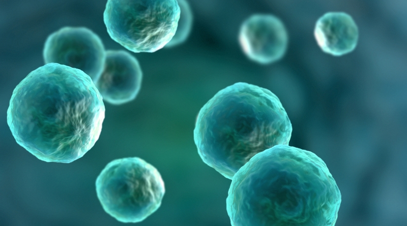Symptômes, diagnostic et évolution des infections à chlamydia | lakasdekorom.hu | Assuré