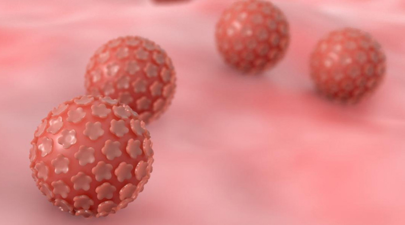 ist papillomavirus homme)